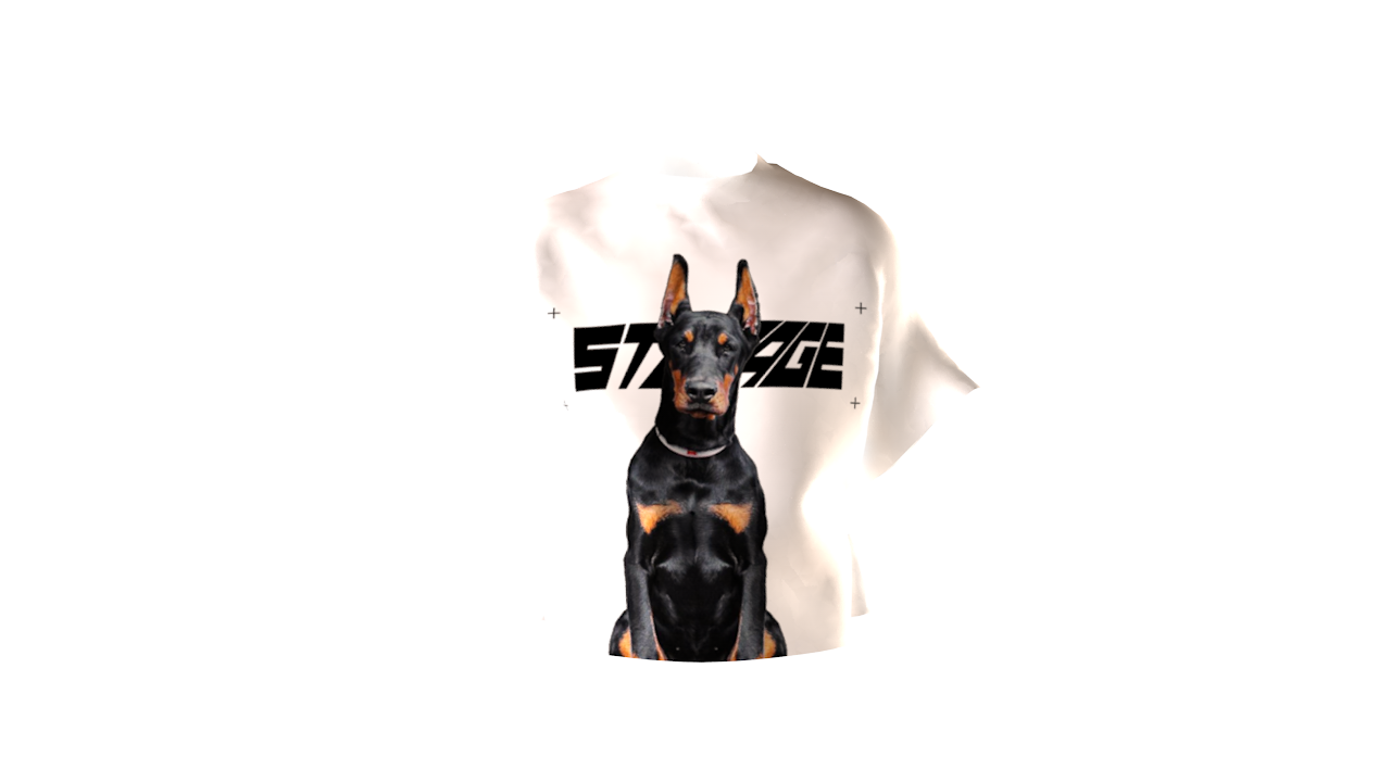 Storage Doberman