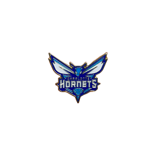 Hornets Pin